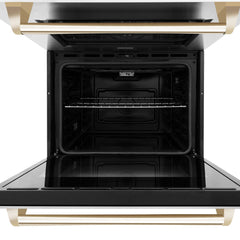 ZLINE 30 In. Autograph Edition Double Wall Oven with Self Clean and True Convection in Stainless Steel and Gold, AWDZ-30-G - Smart Kitchen Lab